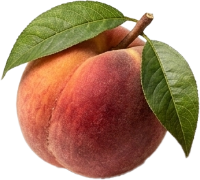 Golden Peach – vonná ingrediencia